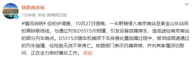 铁路南京站：野猪侵入高铁联络线与列车相撞，机械师下车处置中被邻线列车碰撞身亡